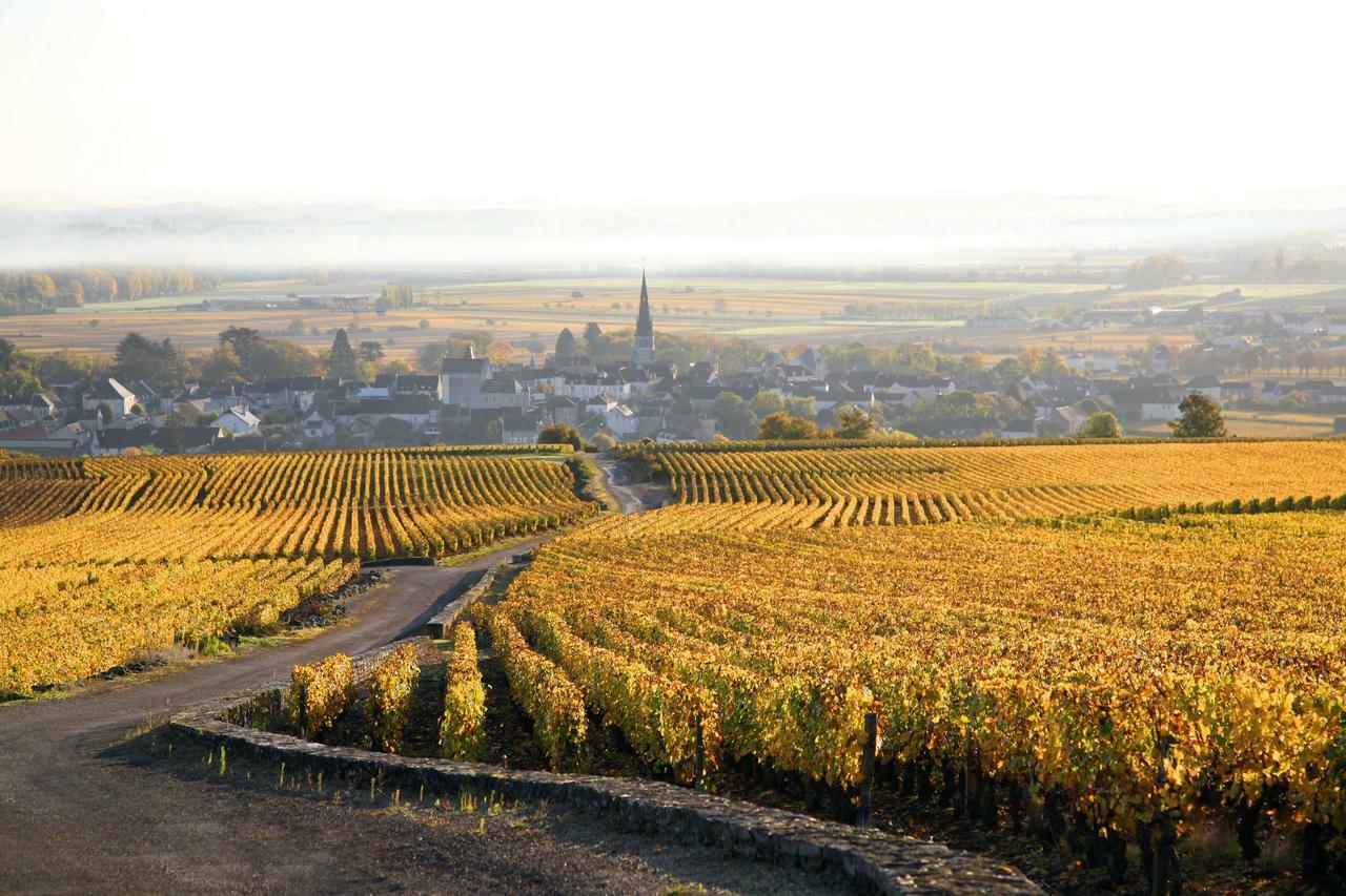 Clos Saint Jacques - Maison D'Hotes Meursault Exterior photo